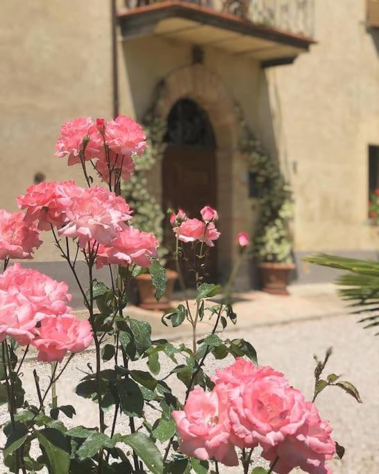 "Villa Bizzi" Monte Castelli Экстерьер фото