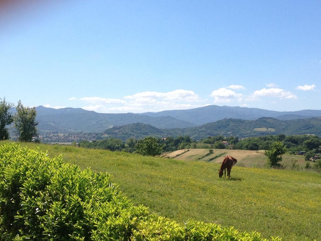 "Villa Bizzi" Monte Castelli Экстерьер фото