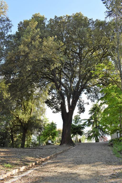 "Villa Bizzi" Monte Castelli Экстерьер фото